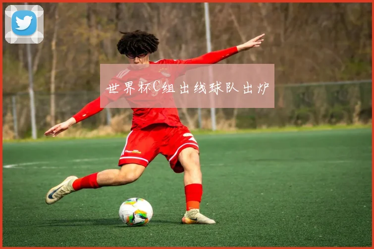 世界杯C组出线球队出炉