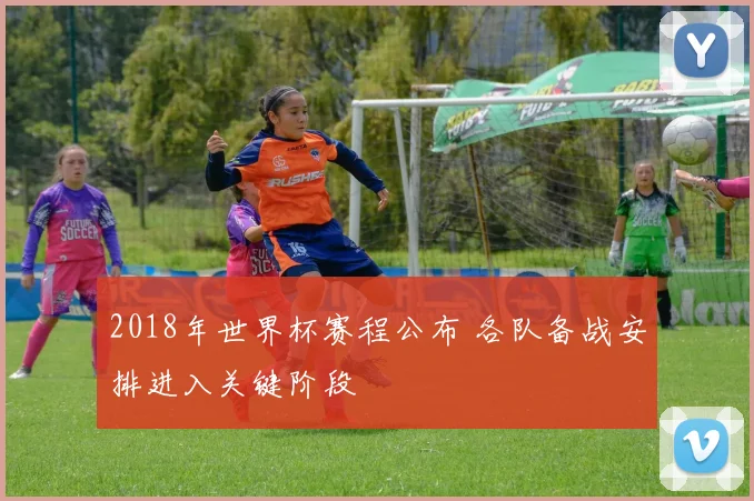 2018年世界杯赛程公布 各队备战安排进入关键阶段